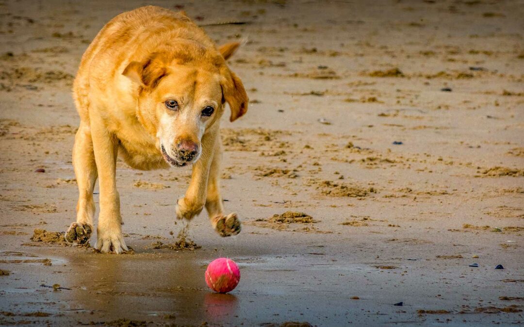 Get out and Play! Life is too short to be miserable at work!